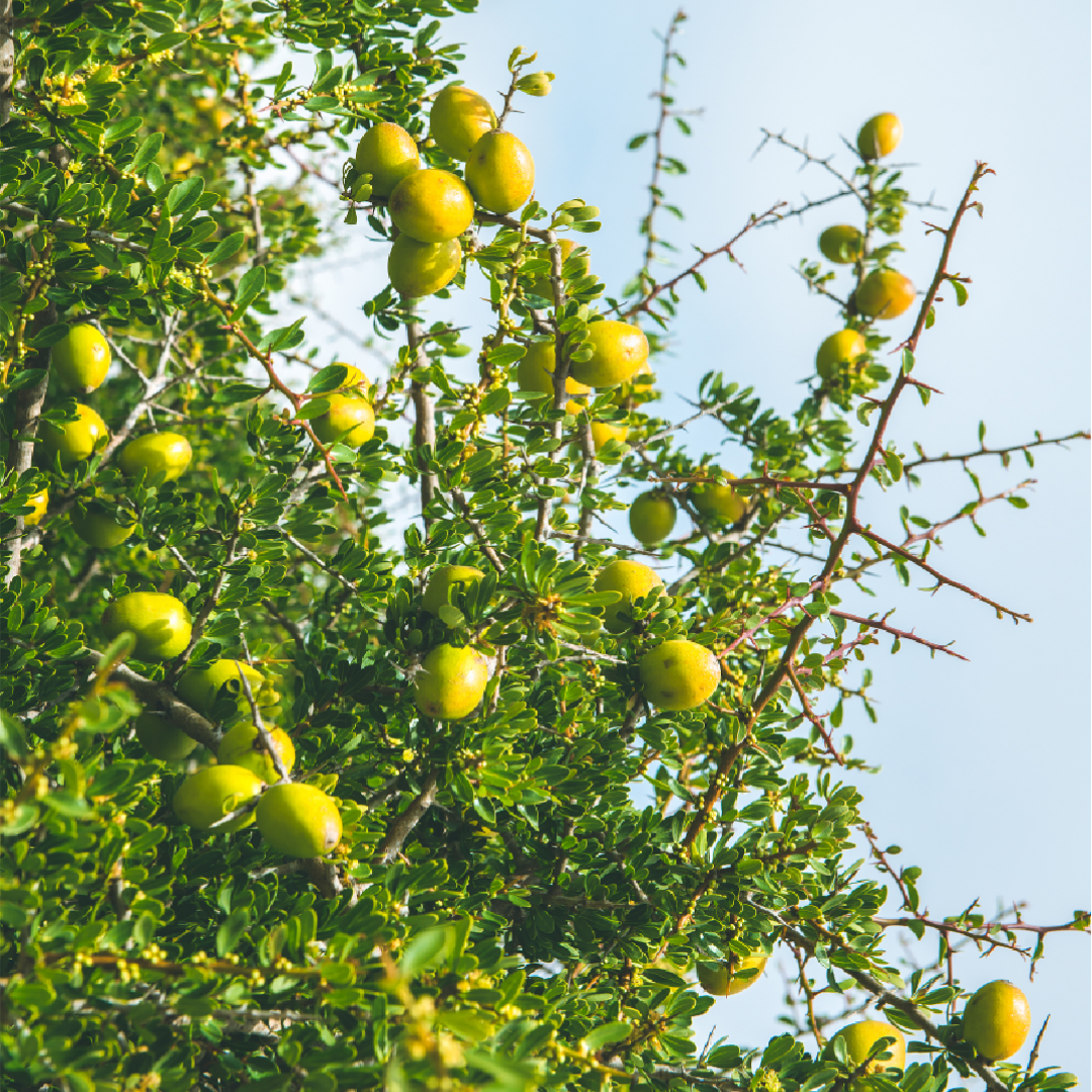 Hair Care Magic, Unleash the Authentic Beauty of Your Hair